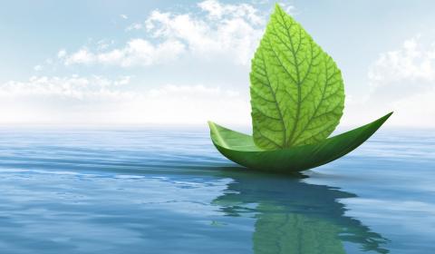 World Maritime Day: new AiPs support green shipping pioneers