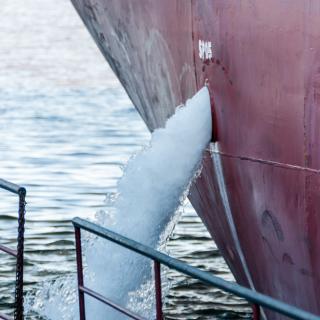 Ballast water management: protecting marine ecosystems