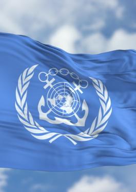 IMO Flag - International Maritime Organization 