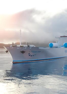 Beyond hydrogen: classification rules for ships using fuel cells