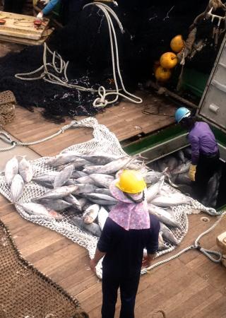 Fishermen at work - Credit BV
