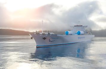Beyond hydrogen: classification rules for ships using fuel cells
